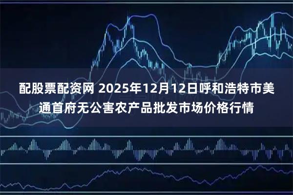 配股票配资网 2025年12月12日呼和浩特市美通首府无公害农产品批发市场价格行情