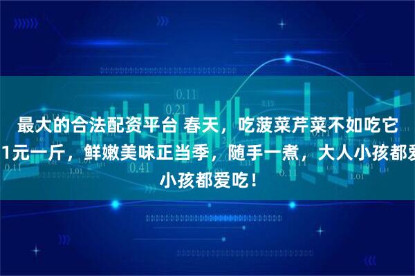 最大的合法配资平台 春天，吃菠菜芹菜不如吃它，才1元一斤，鲜嫩美味正当季，随手一煮，大人小孩都爱吃！