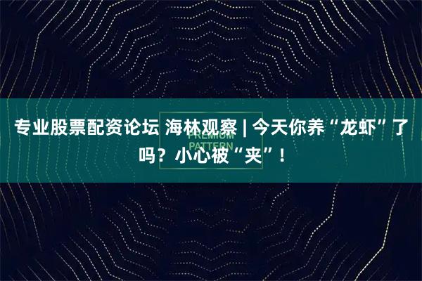 专业股票配资论坛 海林观察 | 今天你养“龙虾”了吗？小心被“夹”！