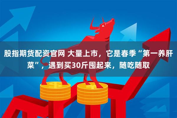 股指期货配资官网 大量上市,它是春季“第一养肝菜”,遇到买30斤囤起来,随吃随取